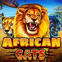 African Cats